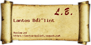 Lantos Bálint névjegykártya